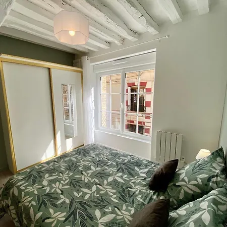 Le Confort Normand - Sur Les Quais & Proxy - Chaleureux - Full Equipe & Netflix - Parking Gratuit דירה